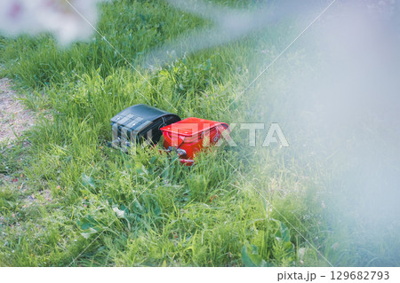 ランドセルと桜 ランドセルと桜 129682793