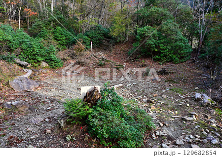 天子山地の毛無山 毛無山ルートのレスキューポイント 天子山地の毛無山 毛無山ルートのレスキューポイント 129682854