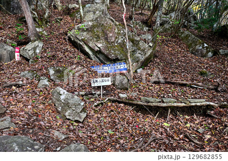 天子山地の毛無山 毛無山ルートの登山道 五合目 天子山地の毛無山 毛無山ルートの登山道 五合目 129682855