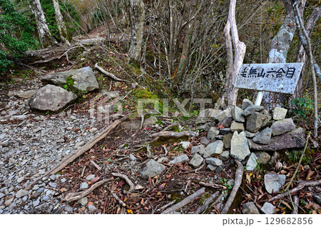 天子山地の毛無山 毛無山ルートの登山道 六合目 天子山地の毛無山 毛無山ルートの登山道 六合目 129682856