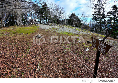 天子山地の毛無山山頂　一等三角点のある頂 129682867