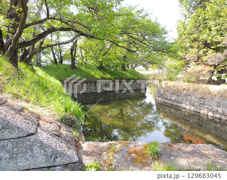 龍岡城五稜郭　堀 129683045