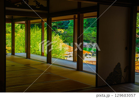 【京都風景】青蓮院　龍心池が魅せる趣きある庭 129683057