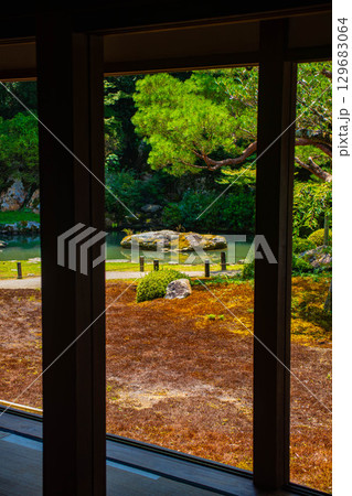 【京都風景】青蓮院 龍心池が魅せる趣きある庭 【京都風景】青蓮院 龍心池が魅せる趣きある庭 129683064