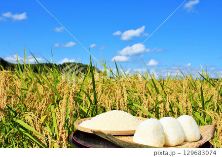 秋の田んぼと新米のおにぎり 129683074