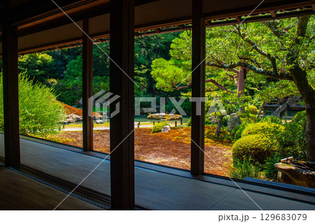 【京都風景】青蓮院　龍心池が魅せる趣きある庭 129683079