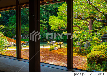 【京都風景】青蓮院　龍心池が魅せる趣きある庭 129683081