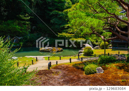 【京都風景】青蓮院　龍心池が魅せる趣きある庭 129683084