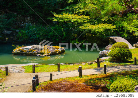 【京都風景】青蓮院　龍心池が魅せる趣きある庭 129683089