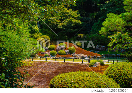 【京都風景】青蓮院 龍心池が魅せる趣きある庭 【京都風景】青蓮院 龍心池が魅せる趣きある庭 129683094