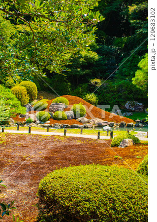 【京都風景】青蓮院　龍心池が魅せる趣きある庭 129683102