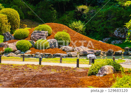 【京都風景】青蓮院　龍心池が魅せる趣きある庭 129683120