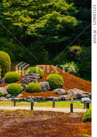 【京都風景】青蓮院 龍心池が魅せる趣きある庭 【京都風景】青蓮院 龍心池が魅せる趣きある庭 129683123