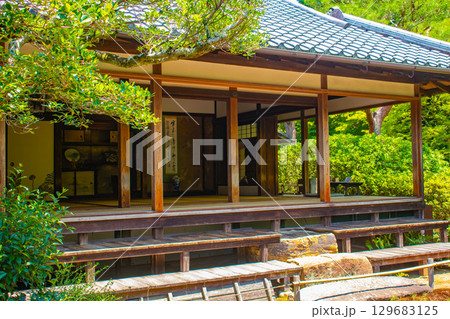 【京都風景】青蓮院 龍心池が魅せる趣きある庭 【京都風景】青蓮院 龍心池が魅せる趣きある庭 129683125