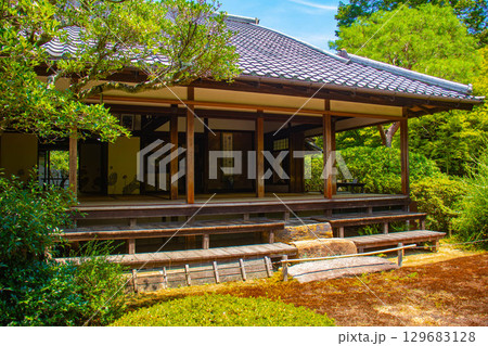 【京都風景】青蓮院　龍心池が魅せる趣きある庭 129683128