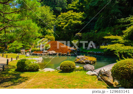 【京都風景】青蓮院　龍心池が魅せる趣きある庭 129683141