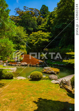 【京都風景】青蓮院　龍心池が魅せる趣きある庭 129683144