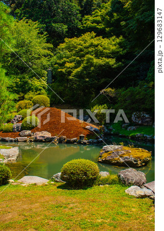 【京都風景】青蓮院 龍心池が魅せる趣きある庭 【京都風景】青蓮院 龍心池が魅せる趣きある庭 129683147