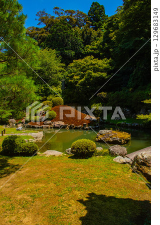 【京都風景】青蓮院　龍心池が魅せる趣きある庭 129683149