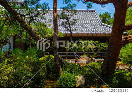 【京都風景】青蓮院 龍心池が魅せる趣きある庭 【京都風景】青蓮院 龍心池が魅せる趣きある庭 129683152