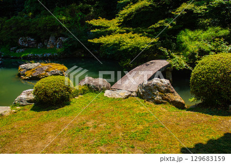 【京都風景】青蓮院 龍心池が魅せる趣きある庭 【京都風景】青蓮院 龍心池が魅せる趣きある庭 129683159