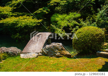 【京都風景】青蓮院 龍心池が魅せる趣きある庭 【京都風景】青蓮院 龍心池が魅せる趣きある庭 129683161