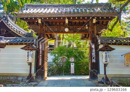 【京都風景】青蓮院　龍心池が魅せる趣きある庭 129683166