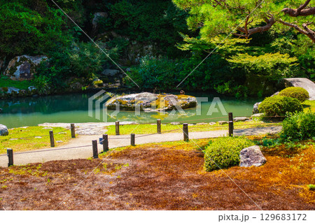 【京都風景】青蓮院 龍心池が魅せる趣きある庭 【京都風景】青蓮院 龍心池が魅せる趣きある庭 129683172