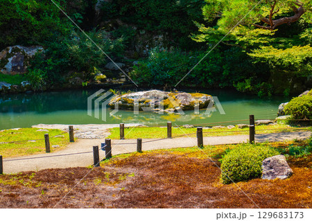 【京都風景】青蓮院　龍心池が魅せる趣きある庭 129683173
