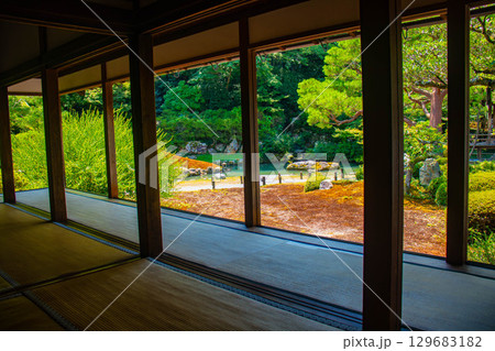 【京都風景】青蓮院 龍心池が魅せる趣きある庭 【京都風景】青蓮院 龍心池が魅せる趣きある庭 129683182