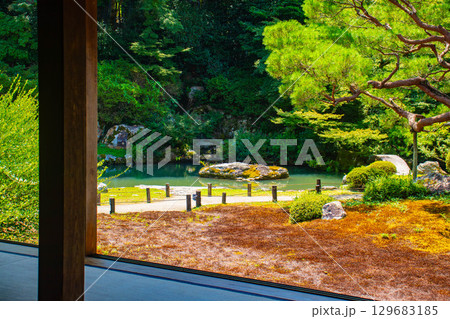【京都風景】青蓮院 龍心池が魅せる趣きある庭 【京都風景】青蓮院 龍心池が魅せる趣きある庭 129683185