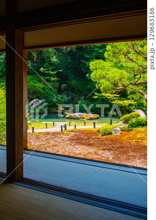 【京都風景】青蓮院　龍心池が魅せる趣きある庭 129683186