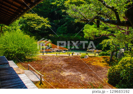 【京都風景】青蓮院 龍心池が魅せる趣きある庭 【京都風景】青蓮院 龍心池が魅せる趣きある庭 129683192
