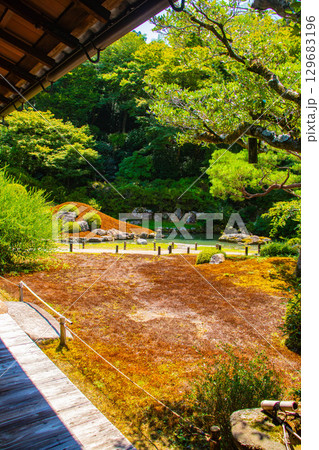 【京都風景】青蓮院　龍心池が魅せる趣きある庭 129683196
