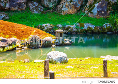 【京都風景】青蓮院　龍心池が魅せる趣きある庭 129683205