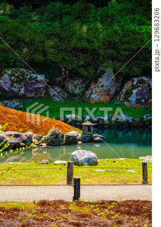 【京都風景】青蓮院　龍心池が魅せる趣きある庭 129683206