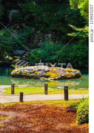 【京都風景】青蓮院 龍心池が魅せる趣きある庭 【京都風景】青蓮院 龍心池が魅せる趣きある庭 129683207