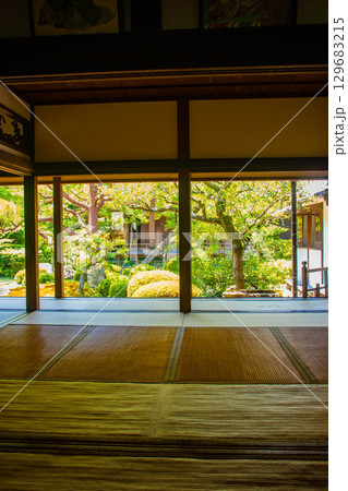 【京都風景】青蓮院 龍心池が魅せる趣きある庭 【京都風景】青蓮院 龍心池が魅せる趣きある庭 129683215