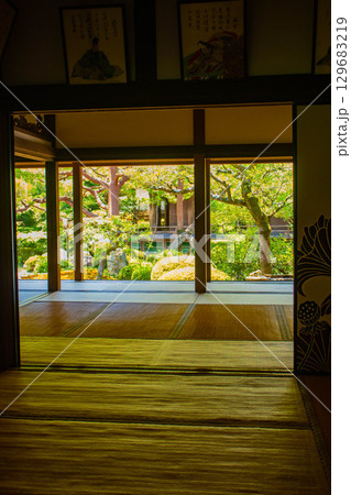 【京都風景】青蓮院 龍心池が魅せる趣きある庭 【京都風景】青蓮院 龍心池が魅せる趣きある庭 129683219