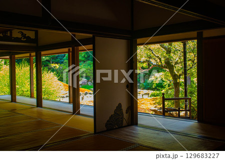 【京都風景】青蓮院　龍心池が魅せる趣きある庭 129683227