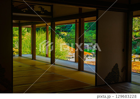 【京都風景】青蓮院　龍心池が魅せる趣きある庭 129683228