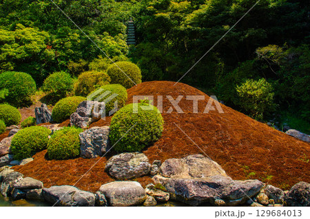 【京都風景】青蓮院　龍心池が魅せる趣きある庭 129684013