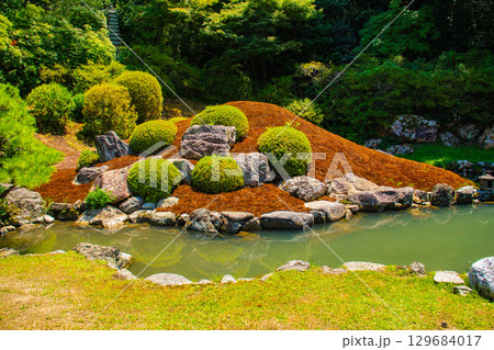 【京都風景】青蓮院 龍心池が魅せる趣きある庭 【京都風景】青蓮院 龍心池が魅せる趣きある庭 129684017