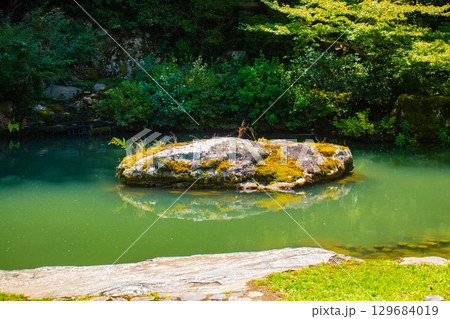 【京都風景】青蓮院 龍心池が魅せる趣きある庭 【京都風景】青蓮院 龍心池が魅せる趣きある庭 129684019