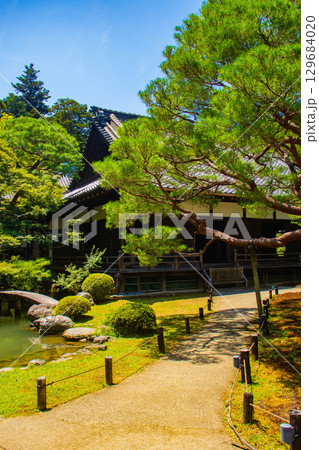 【京都風景】青蓮院 龍心池が魅せる趣きある庭 【京都風景】青蓮院 龍心池が魅せる趣きある庭 129684020