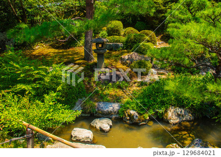 【京都風景】青蓮院　龍心池が魅せる趣きある庭 129684021