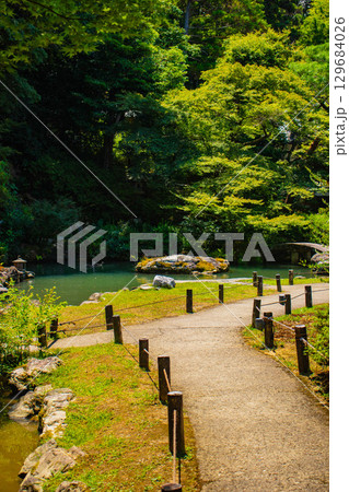 【京都風景】青蓮院 龍心池が魅せる趣きある庭 【京都風景】青蓮院 龍心池が魅せる趣きある庭 129684026