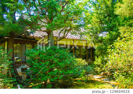 【京都風景】青蓮院 龍心池が魅せる趣きある庭 【京都風景】青蓮院 龍心池が魅せる趣きある庭 129684028