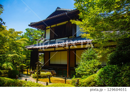 【京都風景】青蓮院　龍心池が魅せる趣きある庭 129684031
