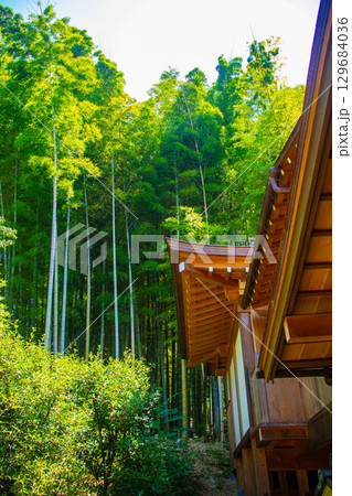 【京都風景】青蓮院　龍心池が魅せる趣きある庭 129684036